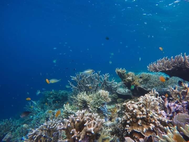 Mambetron Homestay Raja Ampat Pulau Mansuar Экстерьер фото