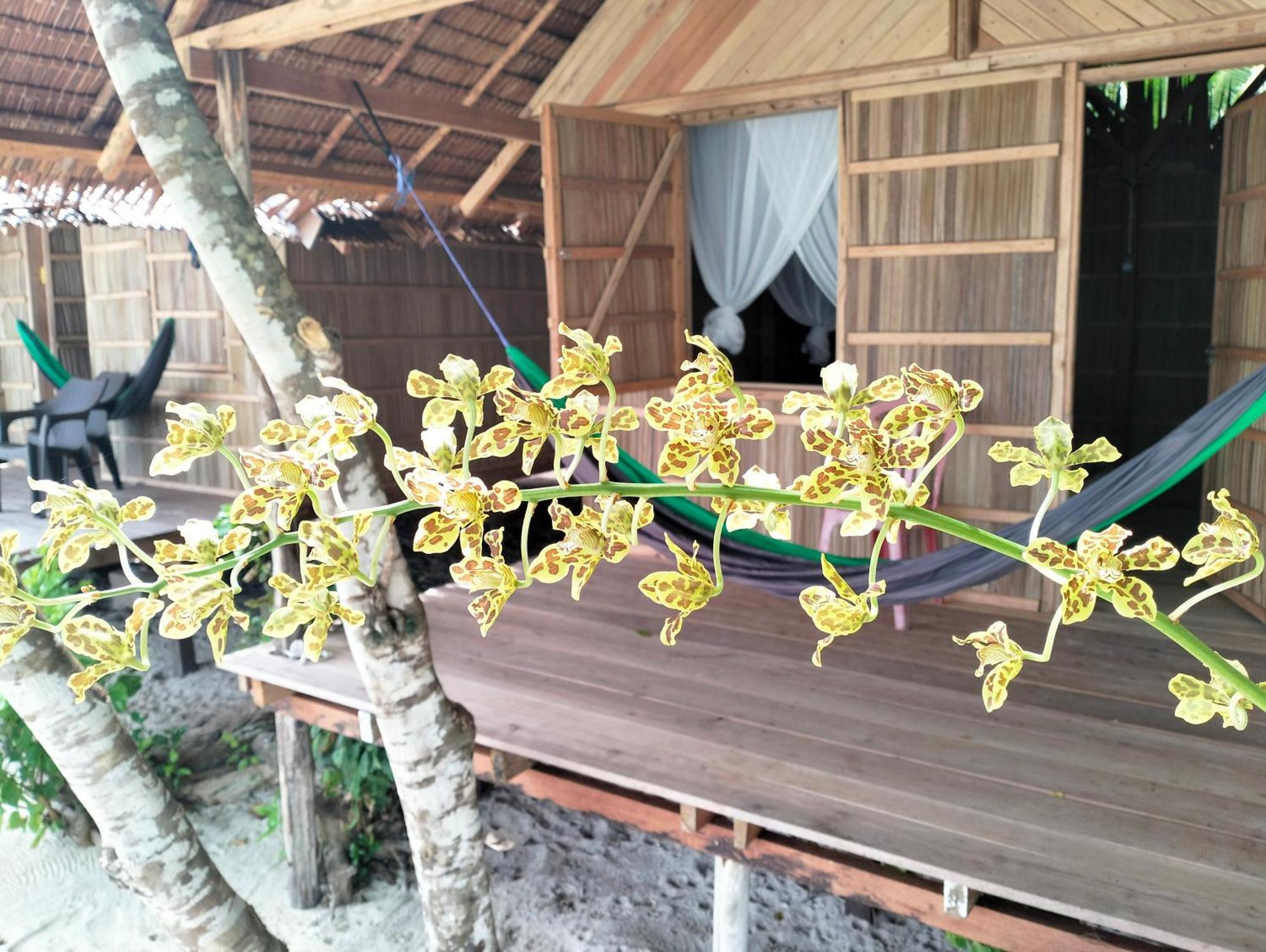 Mambetron Homestay Raja Ampat Pulau Mansuar Экстерьер фото